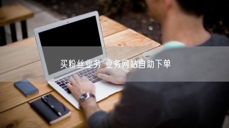 买粉丝业务 业务网站自助下单