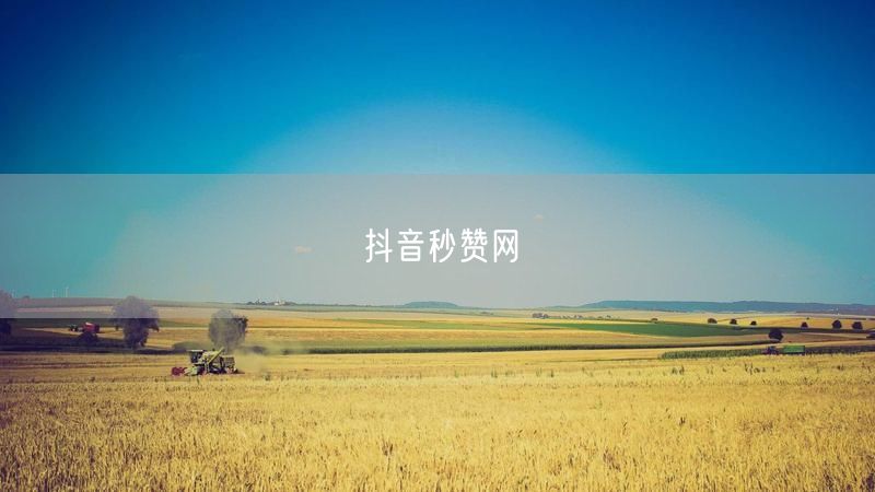 抖音秒赞网
