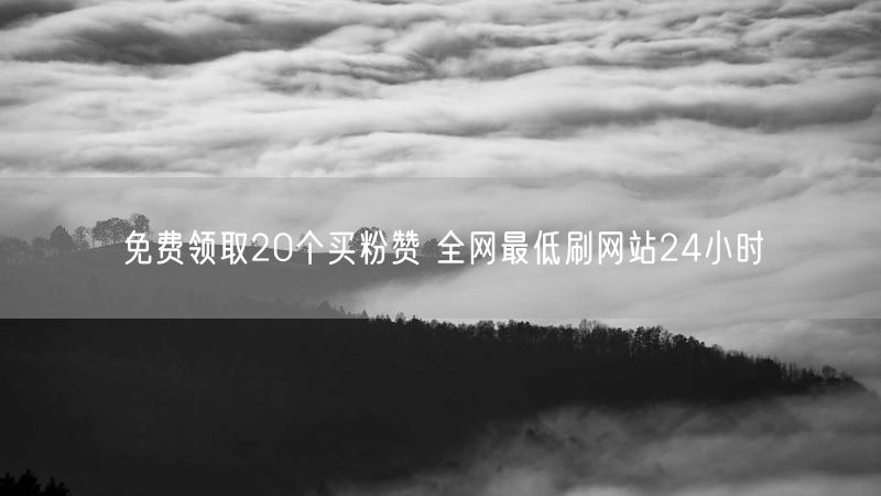 免费领取20个买粉赞 全网最低刷网站24小时