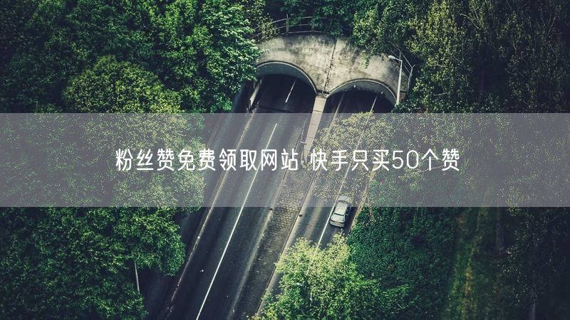 粉丝赞免费领取网站 快手只买50个赞