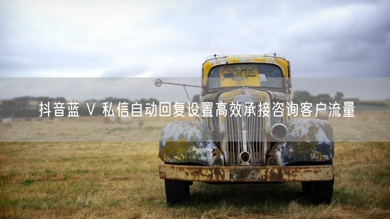 抖音蓝 V 私信自动回复设置高效承接咨询客户流量