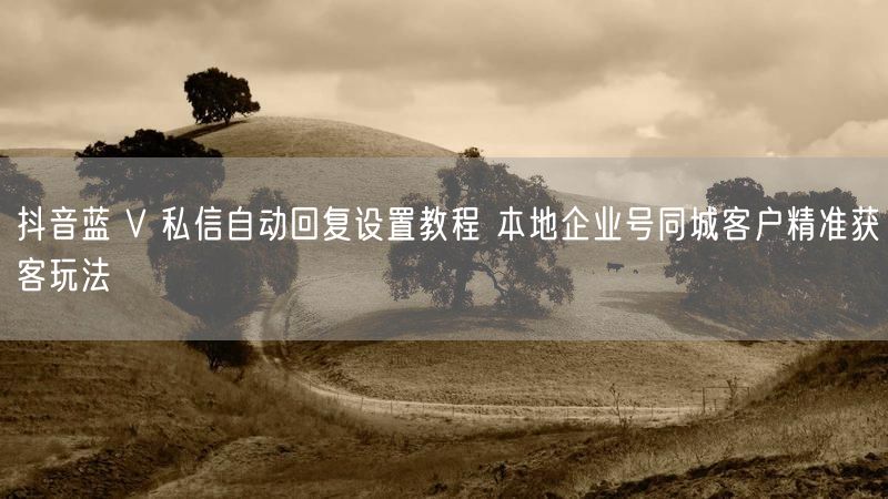 抖音蓝 V 私信自动回复设置教程 本地企业号同城客户精准获客玩法