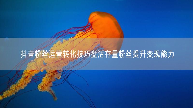 抖音粉丝运营转化技巧盘活存量粉丝提升变现能力