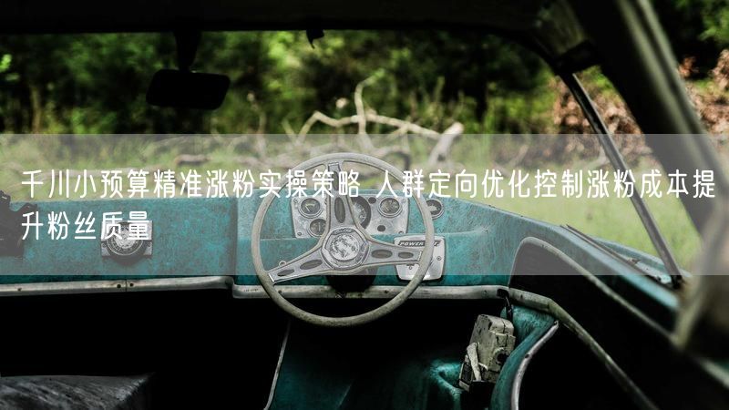 千川小预算精准涨粉实操策略 人群定向优化控制涨粉成本提升粉丝质量