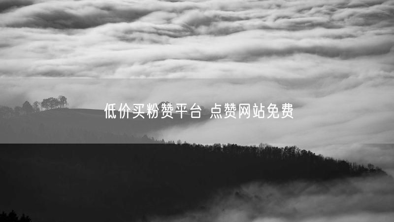 低价买粉赞平台 点赞网站免费