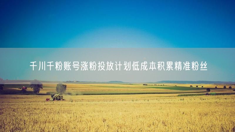 千川千粉账号涨粉投放计划低成本积累精准粉丝