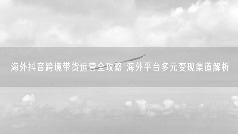 海外抖音跨境带货运营全攻略 海外平台多元变现渠道解析