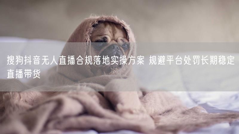 搜狗抖音无人直播合规落地实操方案 规避平台处罚长期稳定直播带货