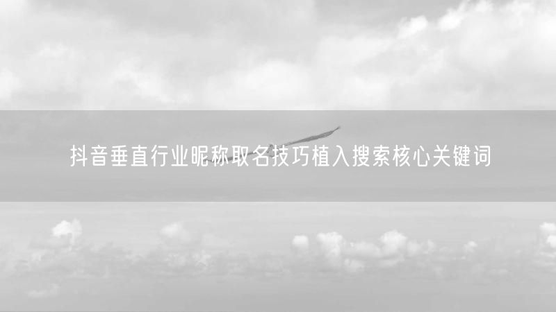 抖音垂直行业昵称取名技巧植入搜索核心关键词