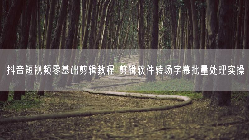 抖音短视频零基础剪辑教程 剪辑软件转场字幕批量处理实操