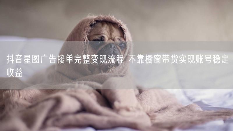 抖音星图广告接单完整变现流程 不靠橱窗带货实现账号稳定收益