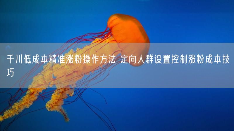 千川低成本精准涨粉操作方法 定向人群设置控制涨粉成本技巧