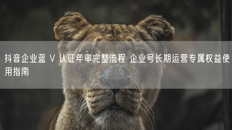 抖音企业蓝 V 认证年审完整流程 企业号长期运营专属权益使用指南
