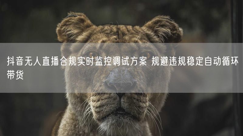 抖音无人直播合规实时监控调试方案 规避违规稳定自动循环带货
