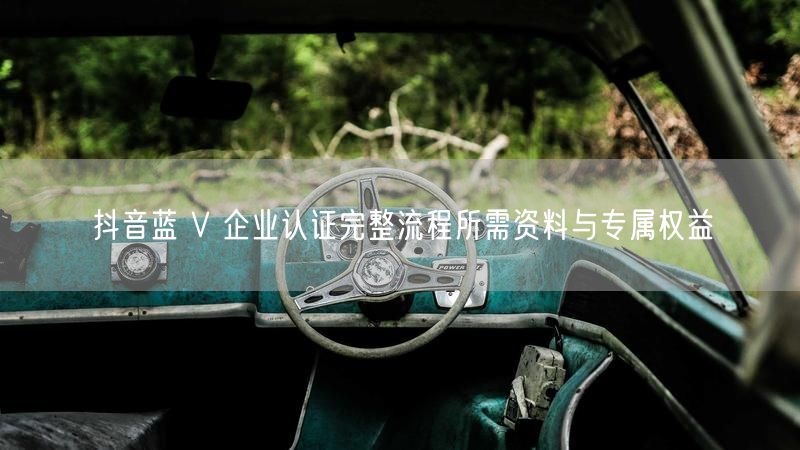 抖音蓝 V 企业认证完整流程所需资料与专属权益