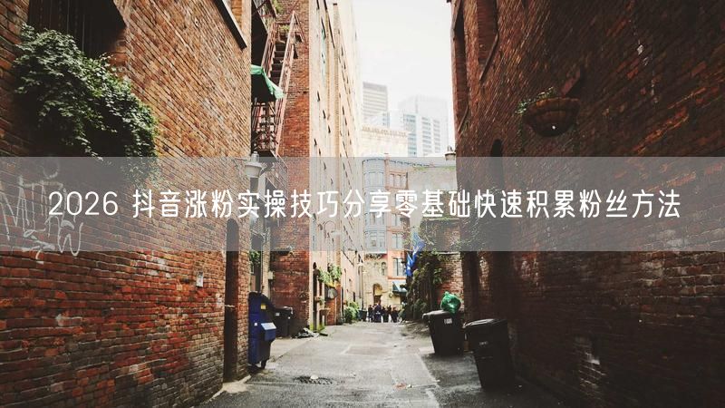 2026 抖音涨粉实操技巧分享零基础快速积累粉丝方法