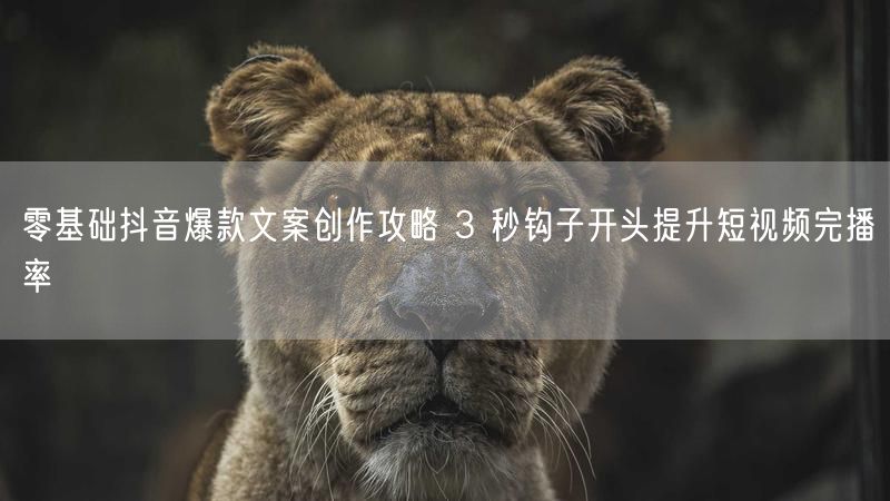 零基础抖音爆款文案创作攻略 3 秒钩子开头提升短视频完播率