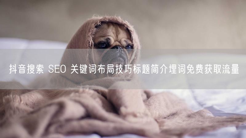 抖音搜索 SEO 关键词布局技巧标题简介埋词免费获取流量