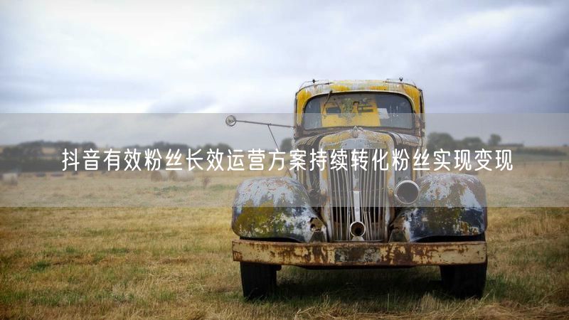 抖音有效粉丝长效运营方案持续转化粉丝实现变现