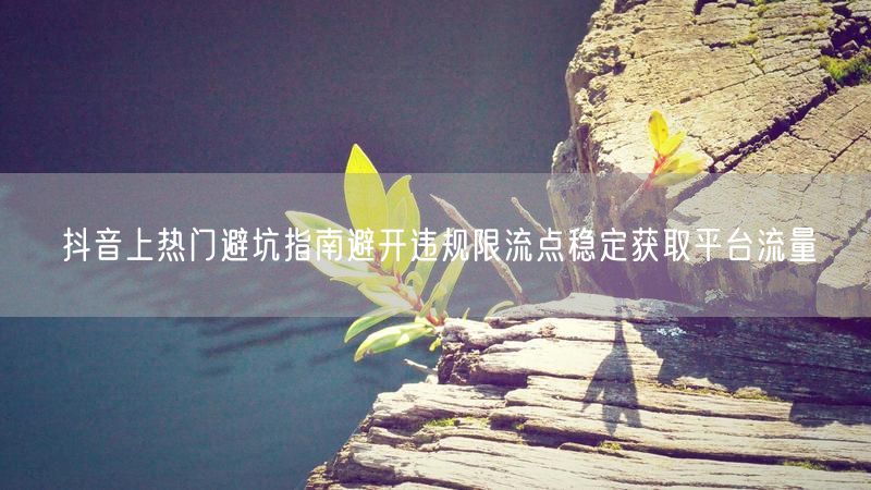 抖音上热门避坑指南避开违规限流点稳定获取平台流量