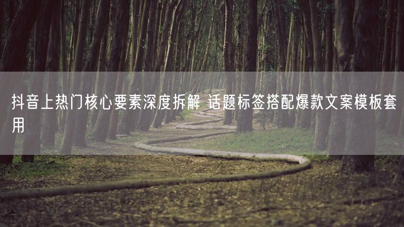 抖音上热门核心要素深度拆解 话题标签搭配爆款文案模板套用