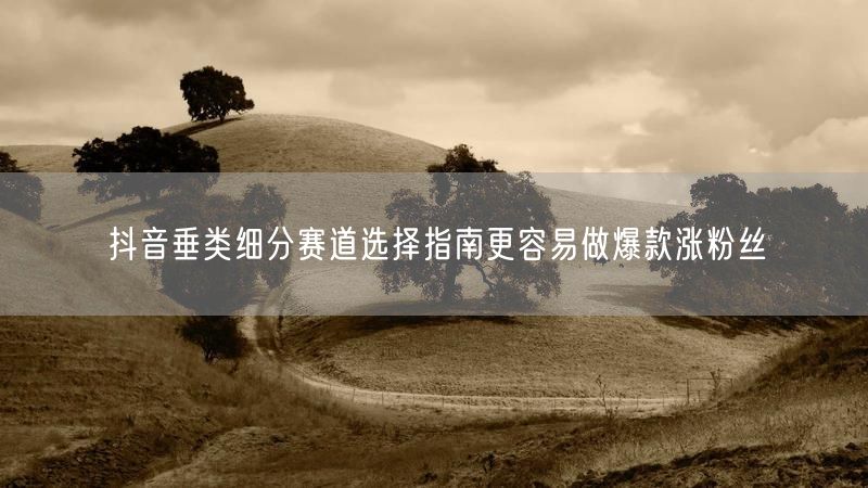 抖音垂类细分赛道选择指南更容易做爆款涨粉丝