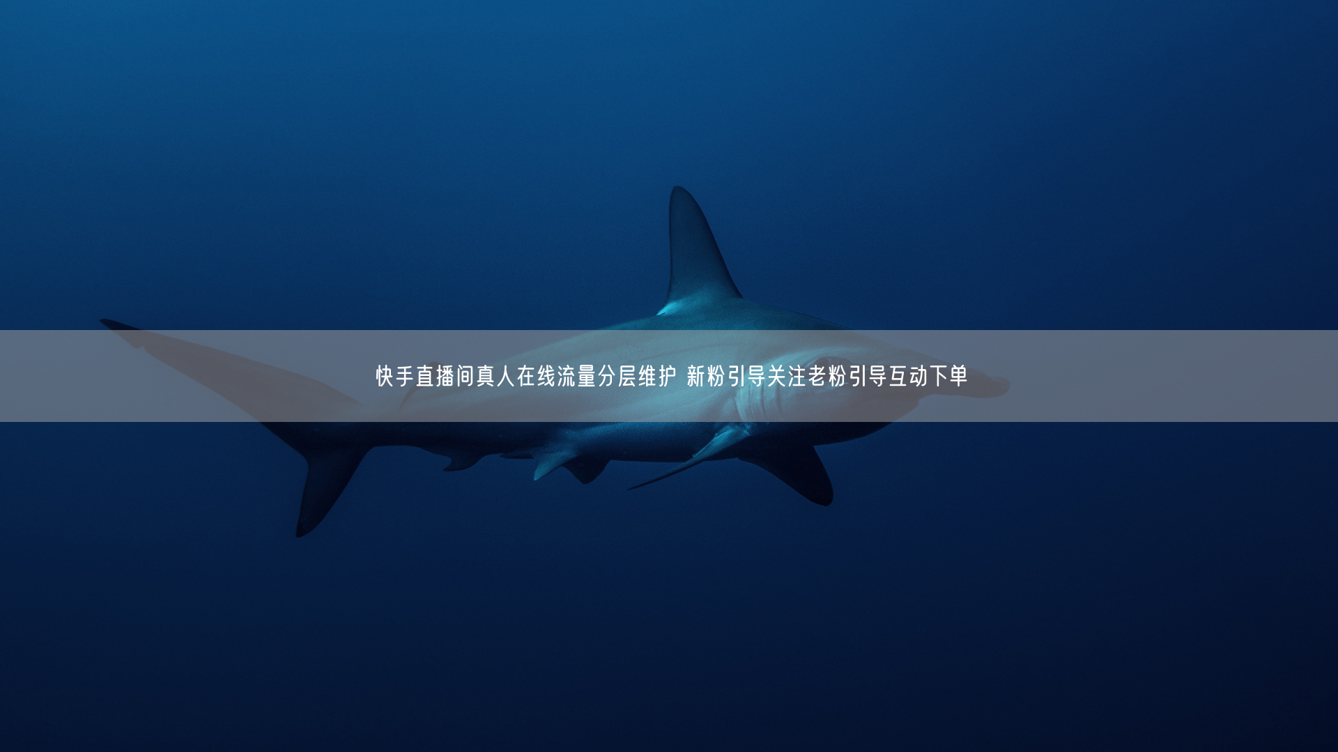快手直播间真人在线流量分层维护 新粉引导关注老粉引导互动下单