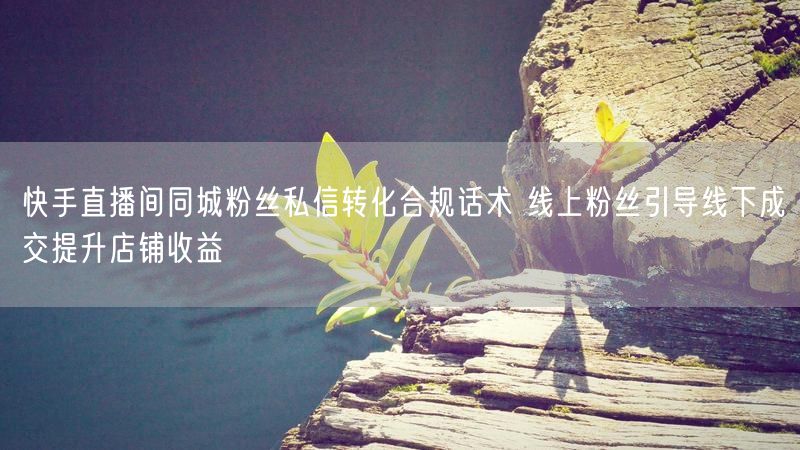 快手直播间同城粉丝私信转化合规话术 线上粉丝引导线下成交提升店铺收益