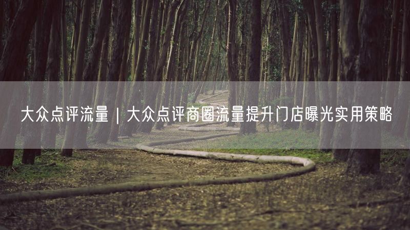 大众点评运营：商圈流量提升，门店曝光实用策略