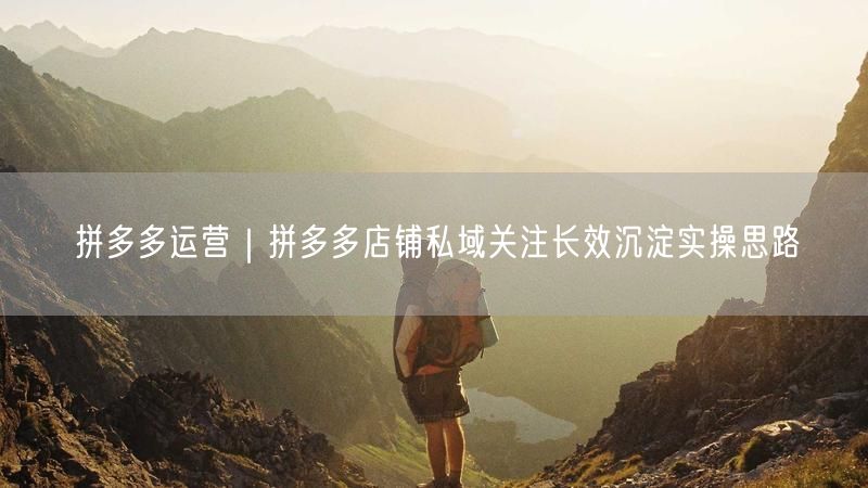 拼多多运营：私域流量助力店铺关注长效沉淀