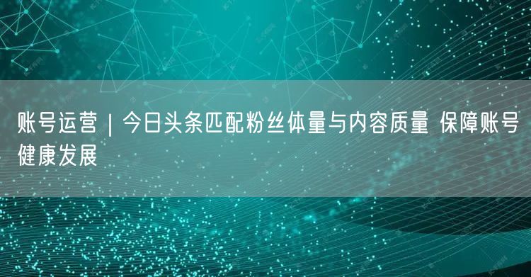 账号运营｜今日头条匹配粉丝体量与内容质量 保障账号健康发展