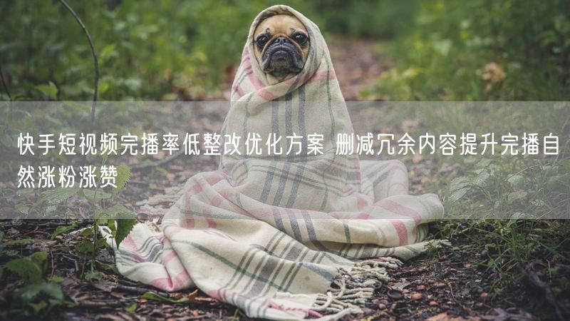 快手短视频完播率低整改优化方案 删减冗余内容提升完播自然涨粉涨赞