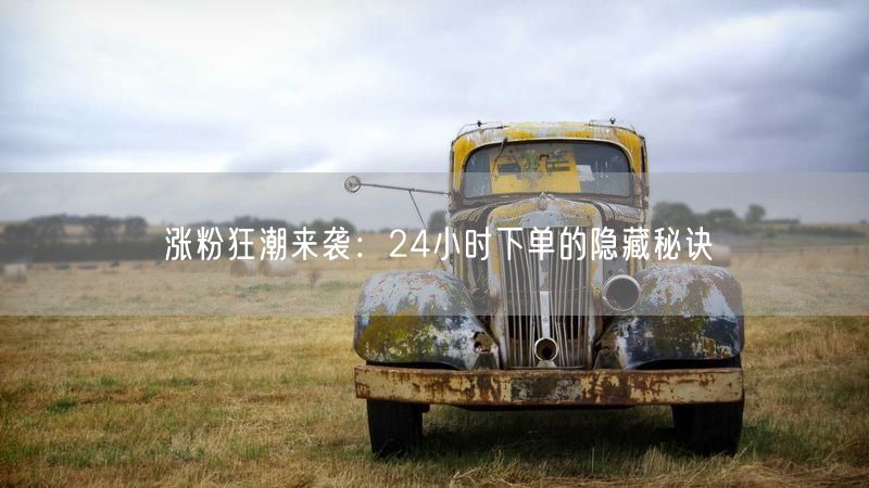 涨粉狂潮揭秘：24小时下单促粉丝增长的隐藏策略