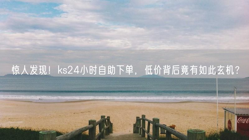 揭秘ks24小时自助下单：低价玄机、流程与用户评价