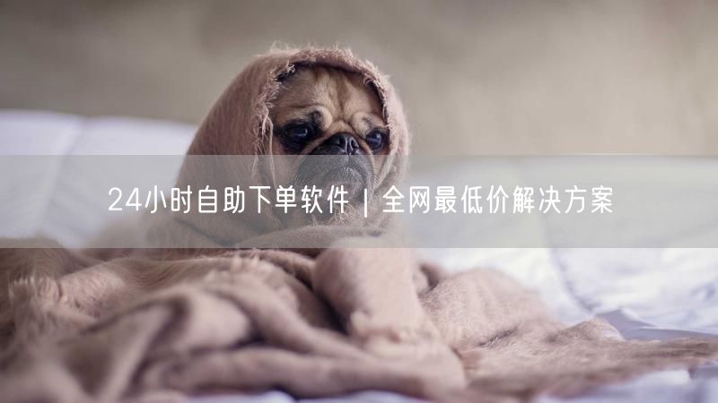 24小时自助下单软件｜全网最低价解决方案