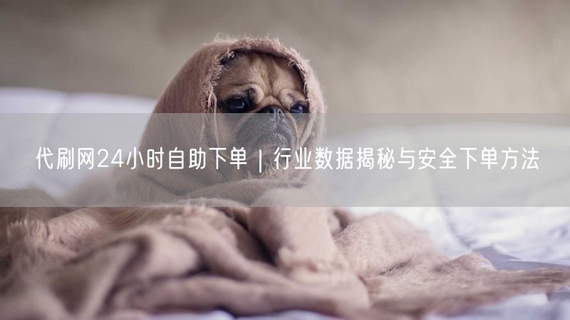 代刷网24小时自助下单｜行业数据揭秘与安全下单方法