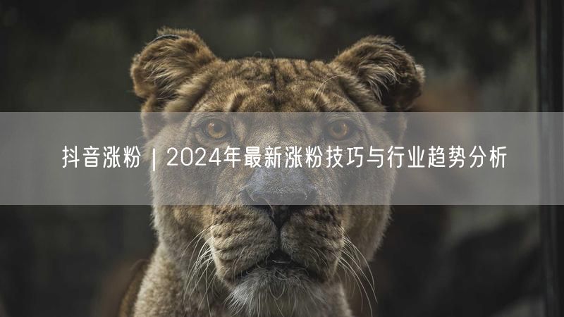 抖音涨粉｜2024年最新涨粉技巧与行业趋势分析