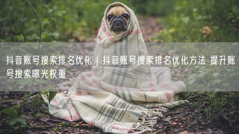 抖音账号搜索排名优化全攻略：提升权重，快速曝光！
