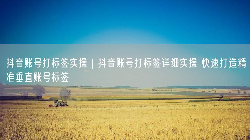 抖音账号打标签实操|抖音账号打标签详细实操 快速打造精准垂直账号标签
