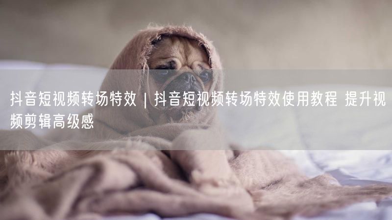 抖音转场特效教程：实操经验+避坑，提升剪辑高级感