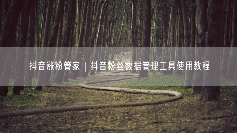 抖音涨粉管家：粉丝管理+数据分析，涨粉技巧全攻略