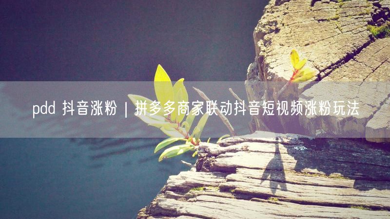 拼多多商家必看：抖音短视频联动实操玩法，跨平台引流