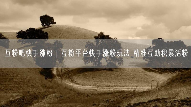 互粉吧快手涨粉｜互粉平台快手涨粉玩法 精准互助积累活粉