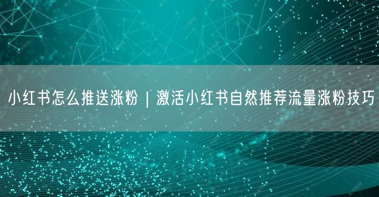 小红书涨粉秘籍：激活自然流量，运营实操技巧