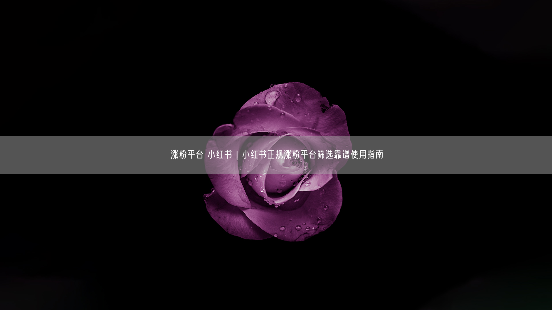 涨粉平台 小红书｜小红书正规涨粉平台筛选靠谱使用指南