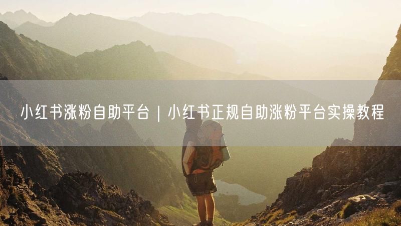 小红书涨粉自助平台｜小红书正规自助涨粉平台实操教程
