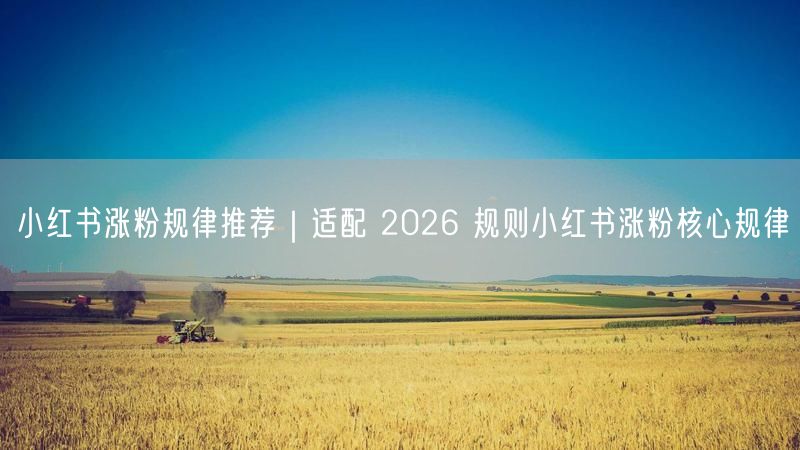 2026小红书涨粉新规：核心规律+实操经验助你爆粉