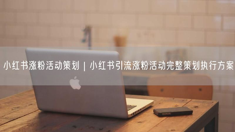 小红书涨粉秘籍：完整引流策划方案+成功案例分享