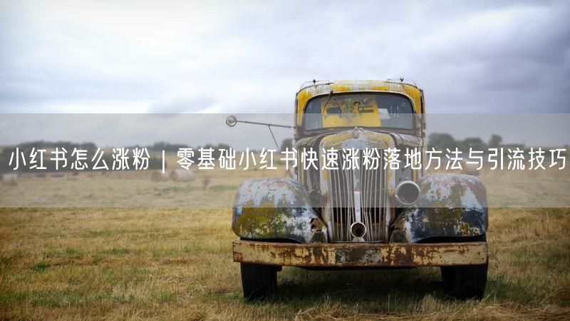 小红书零基础涨粉实操：引流技巧+爆款内容打造