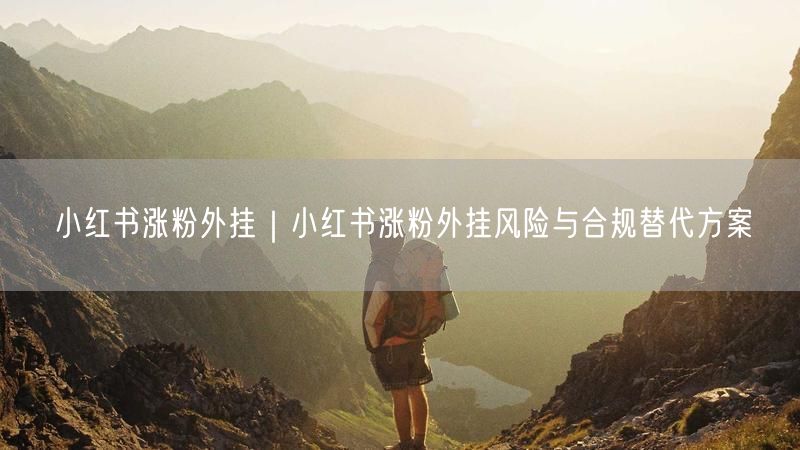 小红书涨粉外挂｜小红书涨粉外挂风险与合规替代方案
